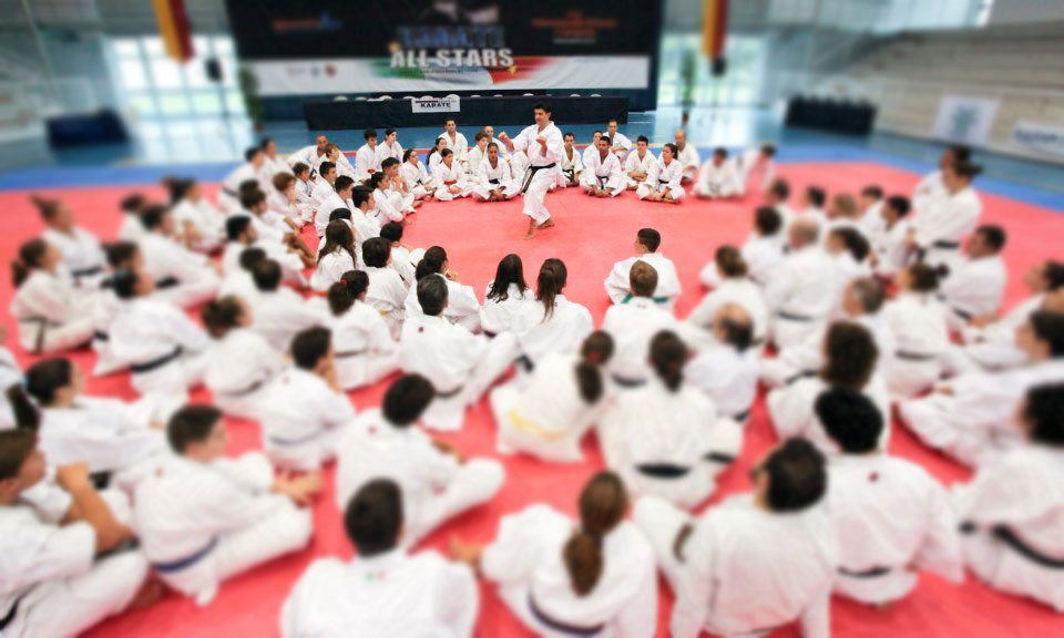 Karate All Stars by SportivArt