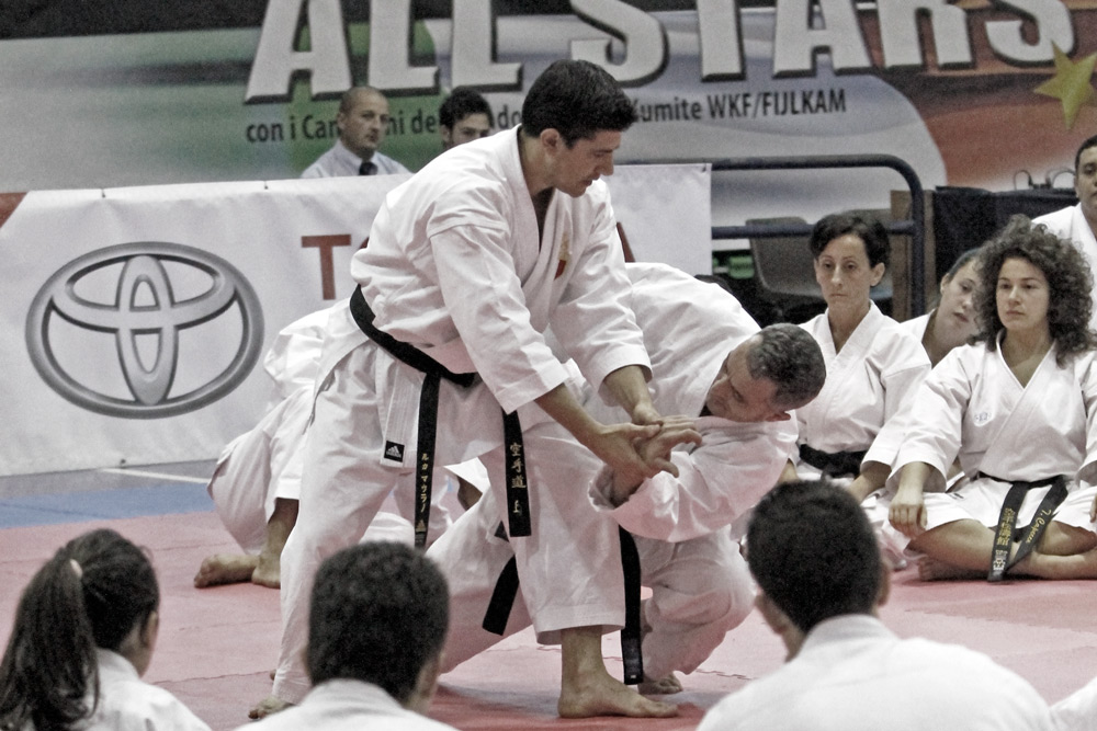Karate All Stars by SportivArt