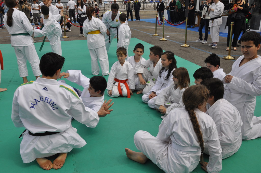 esibizione karate e judo